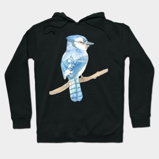 blue jay watercolor bird portrait Hoodie